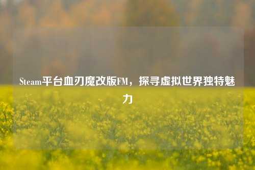 Steam平台血刃魔改版FM，探寻虚拟世界独特魅力