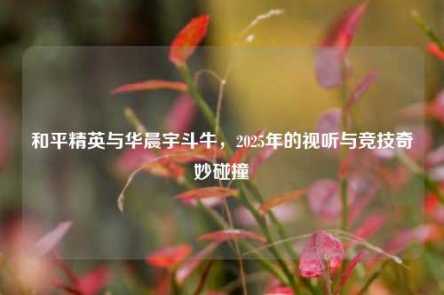 和平精英与华晨宇斗牛,2025年的视听与竞技奇妙碰撞