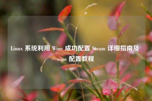 Linux 系统利用 Wine 成功配置 Steam 详细指南及 wine 配置教程