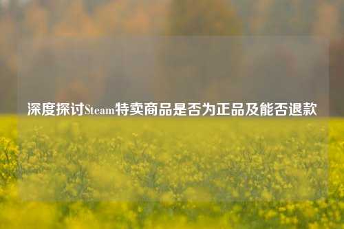 深度探讨Steam特卖商品是否为正品及能否退款