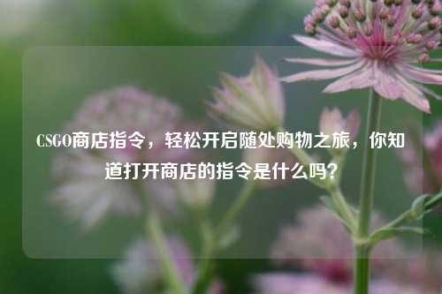 CSGO商店指令,轻松开启随处购物之旅,你知道打开商店的指令是什么吗?
