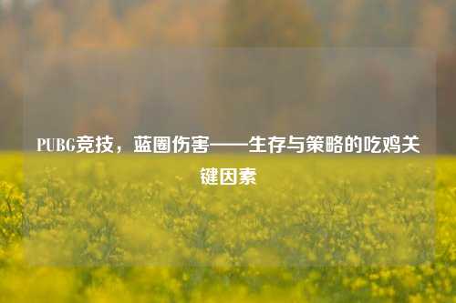 PUBG竞技,蓝圈伤害——生存与策略的吃鸡关键因素