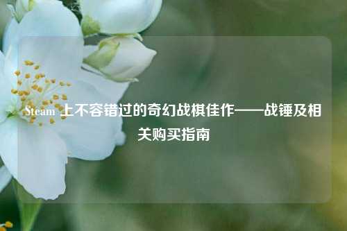 Steam 上不容错过的奇幻战棋佳作——战锤及相关购买指南