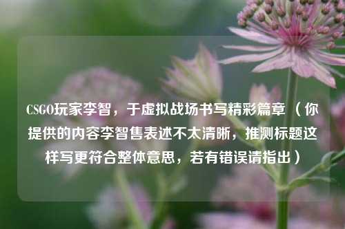 CSGO玩家李智，于虚拟战场书写精彩篇章 （你提供的内容李智售表述不太清晰，推测标题这样写更符合整体意思，若有错误请指出）