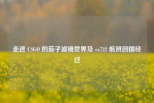 走进 CSGO 的茄子滤镜世界及 ca722 航班回国经过