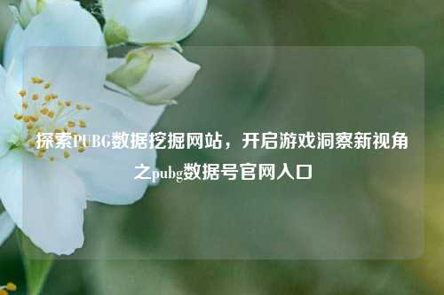 探索PUBG数据挖掘网站,开启游戏洞察新视角之pubg数据号官网入口