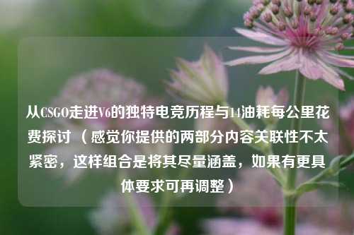 从CSGO走进V6的独特电竞历程与14油耗每公里花费探讨 (感觉你提供的两部分内容关联性不太紧密,这样组合是将其尽量涵盖,如果有更具体要求可再调整)
