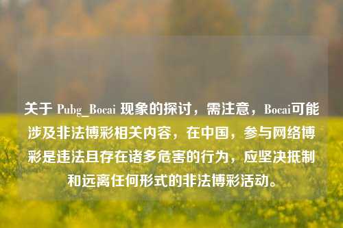 关于 Pubg_Bocai 现象的探讨,需注意,Bocai可能涉及非法博彩相关内容,在中国,参与网络博彩是违法且存在诸多危害的行为,应坚决抵制和远离任何形式的非法博彩活动。