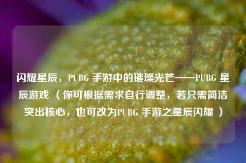 闪耀星辰,PUBG 手游中的璀璨光芒——PUBG 星辰游戏 (你可根据需求自行调整,若只需简洁突出核心,也可改为PUBG 手游之星辰闪耀 )
