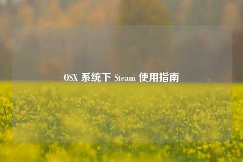 OSX 系统下 Steam 使用指南