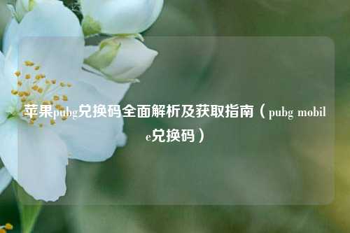 苹果pubg兑换码全面解析及获取指南（pubg mobile兑换码）
