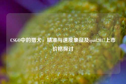 CSGO中的猎犬,精准与速度象征及ipad2017上市价格探讨