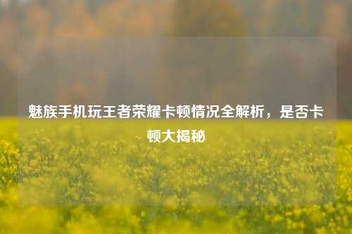 魅族手机玩王者荣耀卡顿情况全解析，是否卡顿大揭秘