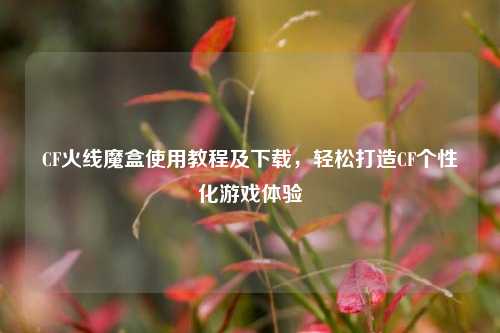 CF火线魔盒使用教程及下载,轻松打造CF个性化游戏体验