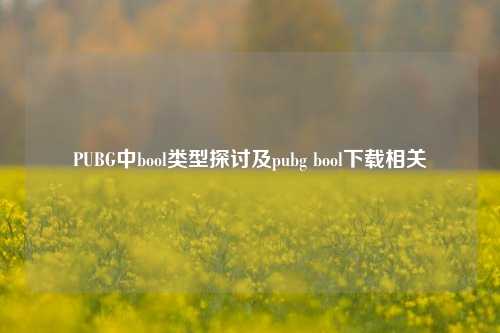 PUBG中bool类型探讨及pubg bool下载相关