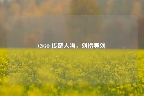 CSGO 传奇人物,刘指导刘頔