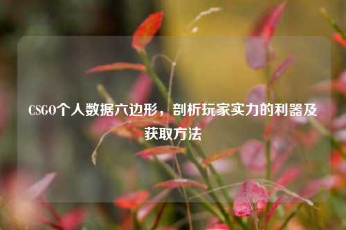 CSGO个人数据六边形,剖析玩家实力的利器及获取方法