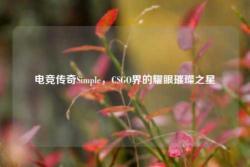 电竞传奇Simple,CSGO界的耀眼璀璨之星