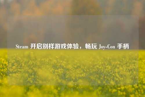 Steam 开启别样游戏体验,畅玩 Joy-Con 手柄