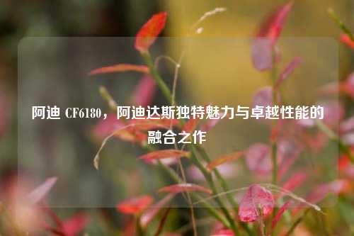 阿迪 CF6180,阿迪达斯独特魅力与卓越性能的融合之作