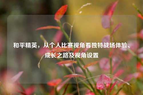 和平精英,从个人比赛视角看独特战场体验、成长之路及视角设置