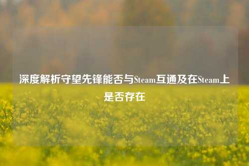 深度解析守望先锋能否与Steam互通及在Steam上是否存在