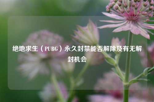 绝地求生(PUBG)永久封禁能否解除及有无解封机会