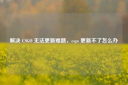 解决 CSGO 无法更新难题,csgo 更新不了怎么办