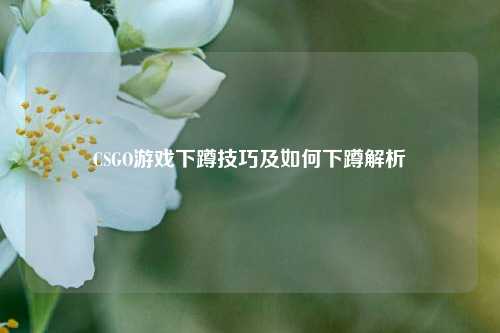 CSGO游戏下蹲技巧及如何下蹲解析