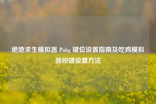 绝地求生模拟器 Pubg 键位设置指南及吃鸡模拟器按键设置方法