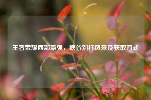 王者荣耀西部豪强,峡谷别样风采及获取方式