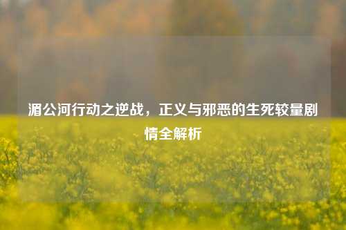 湄公河行动之逆战,正义与邪恶的生死较量剧情全解析