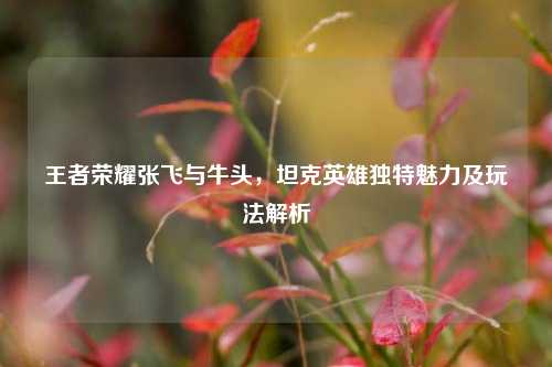 王者荣耀张飞与牛头,坦克英雄独特魅力及玩法解析
