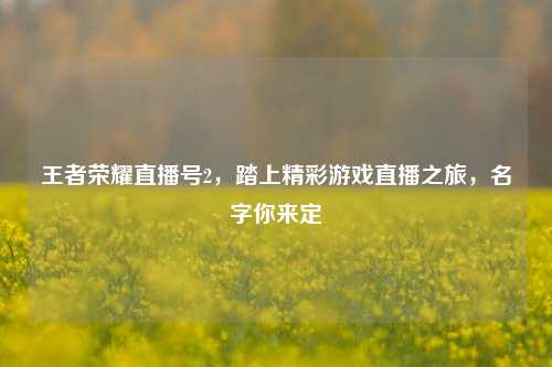 王者荣耀直播号2,踏上精彩游戏直播之旅,名字你来定