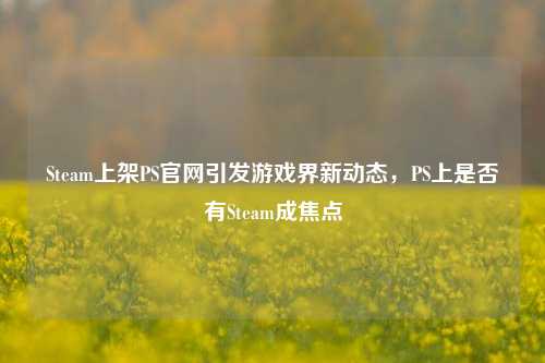 Steam上架PS官网引发游戏界新动态,PS上是否有Steam成焦点