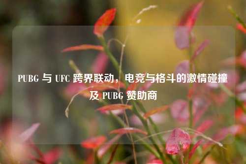 PUBG 与 UFC 跨界联动,电竞与格斗的激情碰撞及 PUBG 赞助商