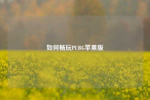 如何畅玩PUBG苹果版