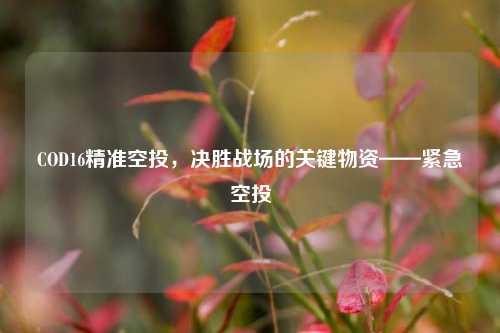 COD16精准空投,决胜战场的关键物资——紧急空投