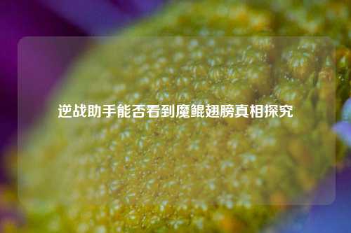 逆战助手能否看到魔鲲翅膀真相探究