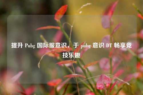 提升 Pubg 国际服意识,于 pubg 意识 DT 畅享竞技乐趣