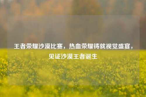 王者荣耀沙漠比赛,热血荣耀铸就视觉盛宴,见证沙漠王者诞生