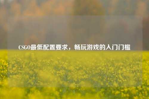 CSGO最低配置要求,畅玩游戏的入门门槛
