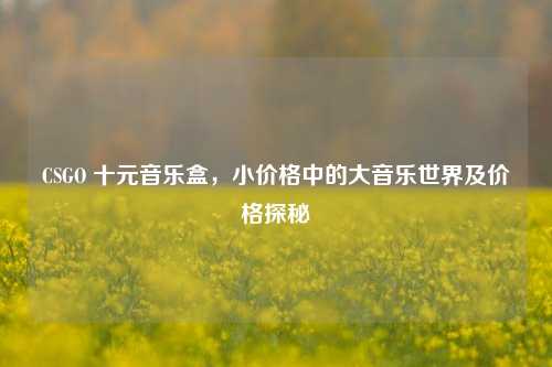 CSGO 十元音乐盒，小价格中的大音乐世界及价格探秘