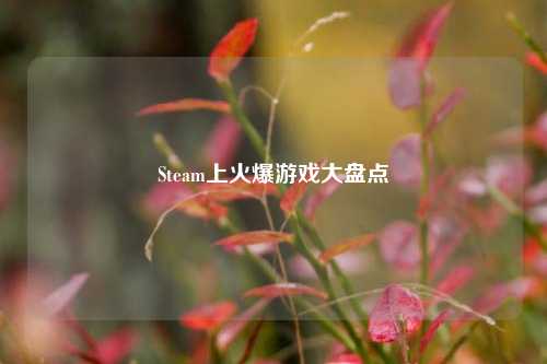 Steam上火爆游戏大盘点