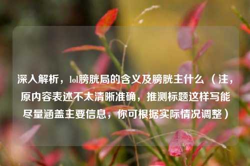 深入解析,lol膀胱局的含义及膀胱主什么 (注,原内容表述不太清晰准确,推测标题这样写能尽量涵盖主要信息,你可根据实际情况调整)