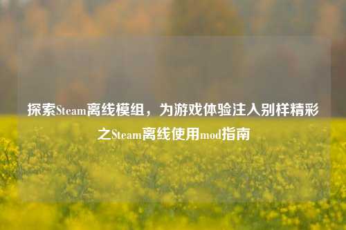 探索Steam离线模组,为游戏体验注入别样精彩之Steam离线使用mod指南