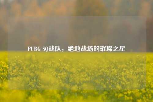 PUBG SQ战队,绝地战场的璀璨之星