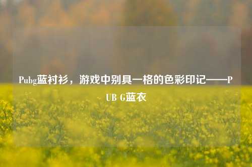 Pubg蓝衬衫,游戏中别具一格的色彩印记——PUB G蓝衣