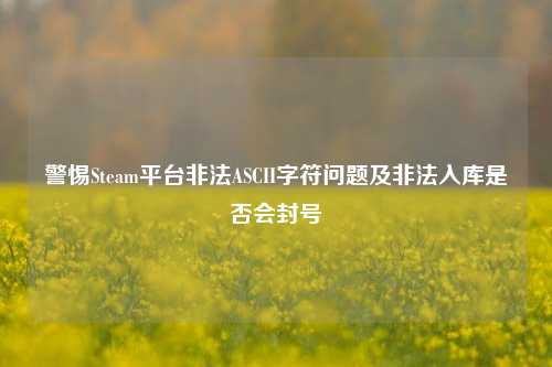 警惕Steam平台非法ASCII字符问题及非法入库是否会封号