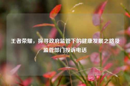 王者荣耀,探寻政府监管下的健康发展之路及监管部门投诉电话
